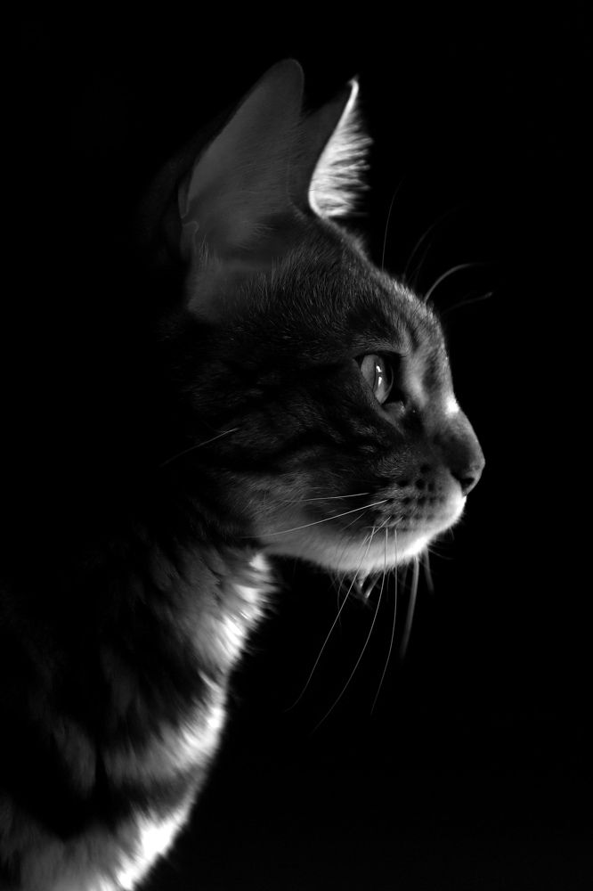 Photograph by Оксана Соколова