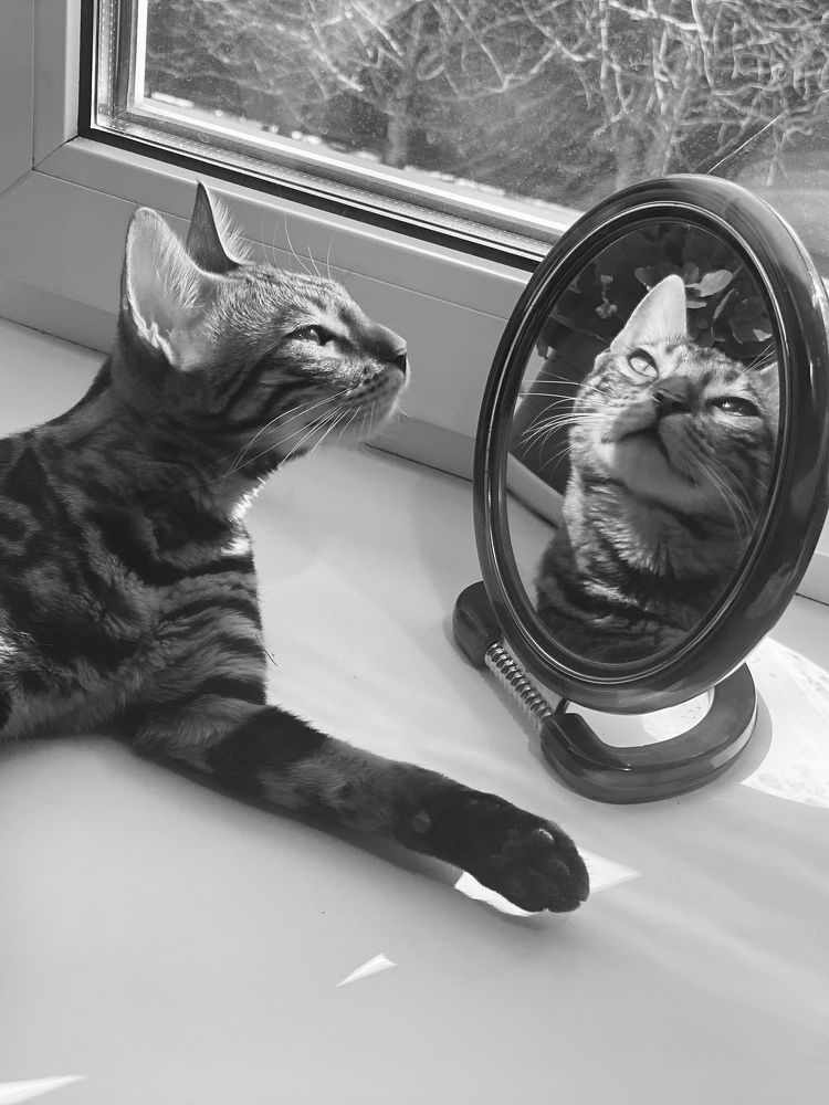 Photograph by Оксана Соколова