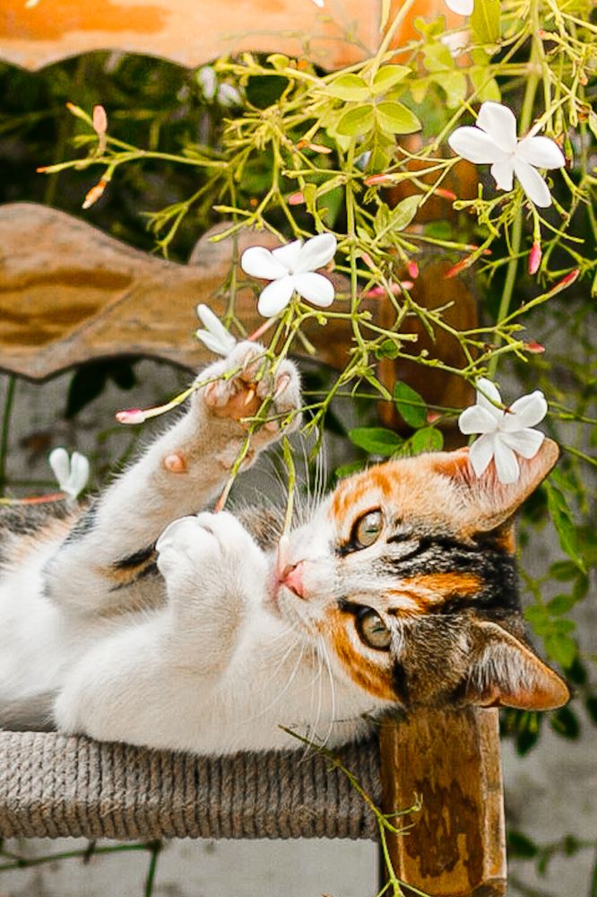 Photograph by Alexandra Sergeeva