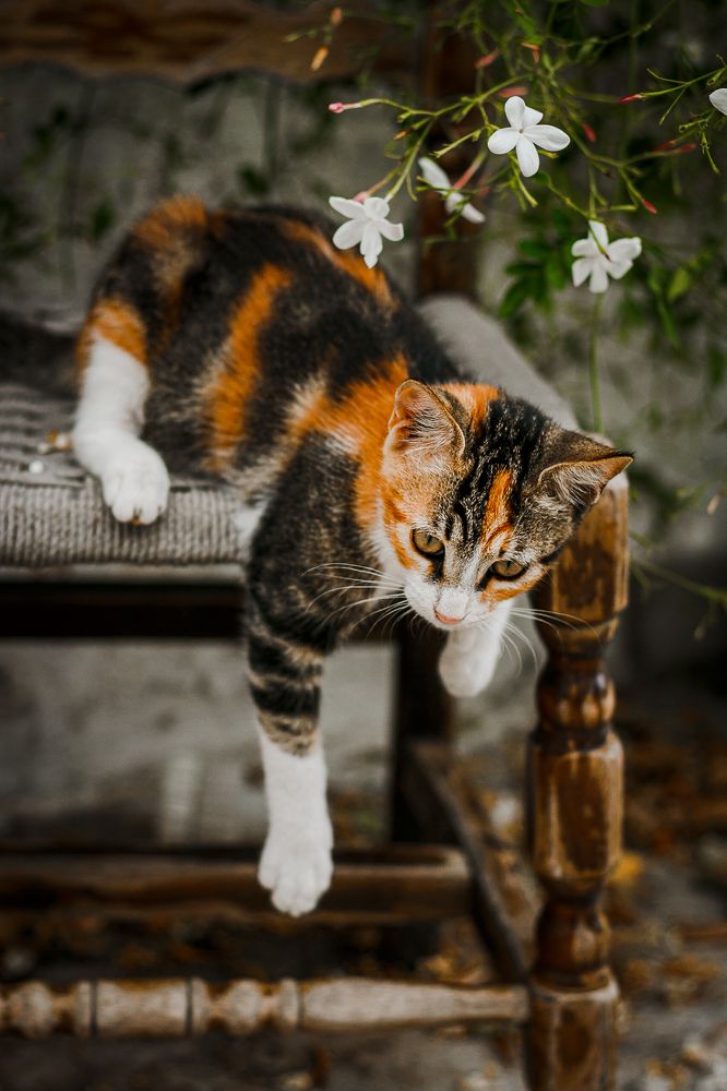 Photograph by Alexandra Sergeeva