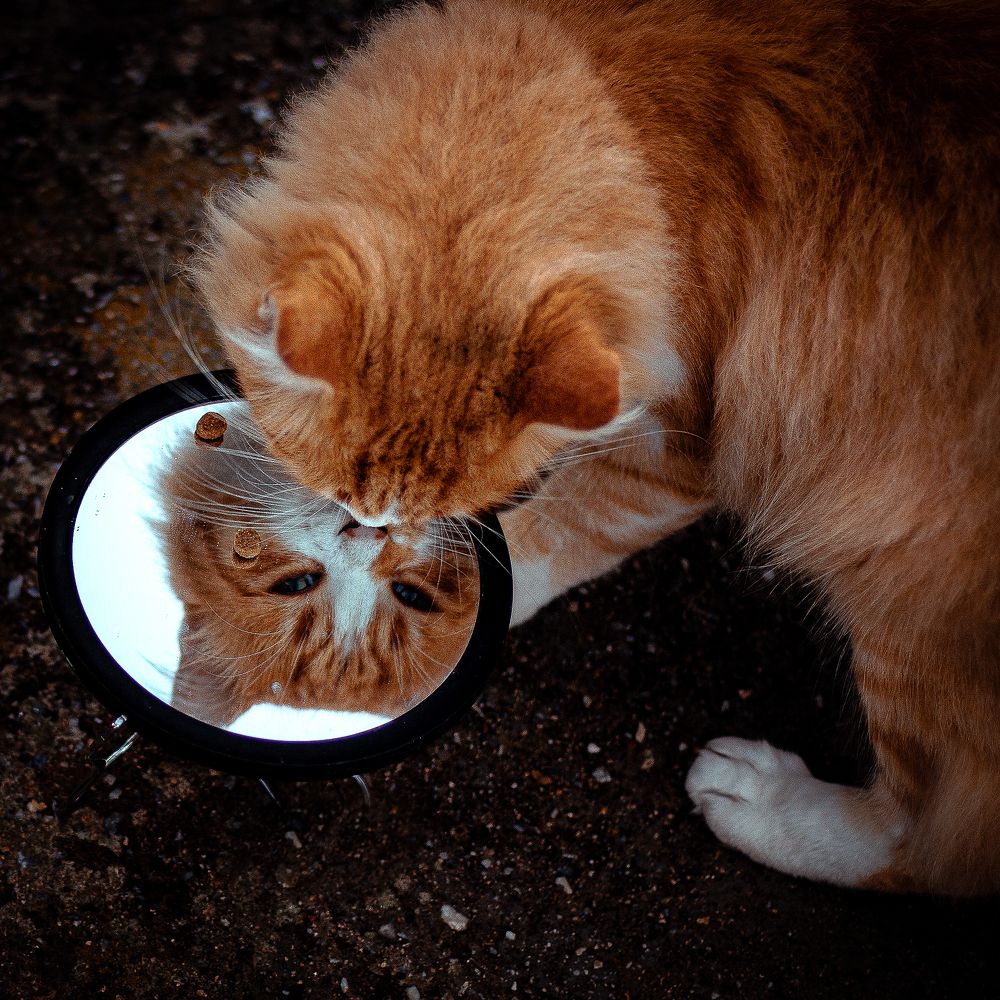 Photograph by Alexandra Sergeeva