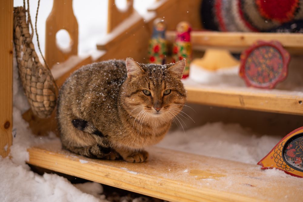 Photograph by Надежда Соколова