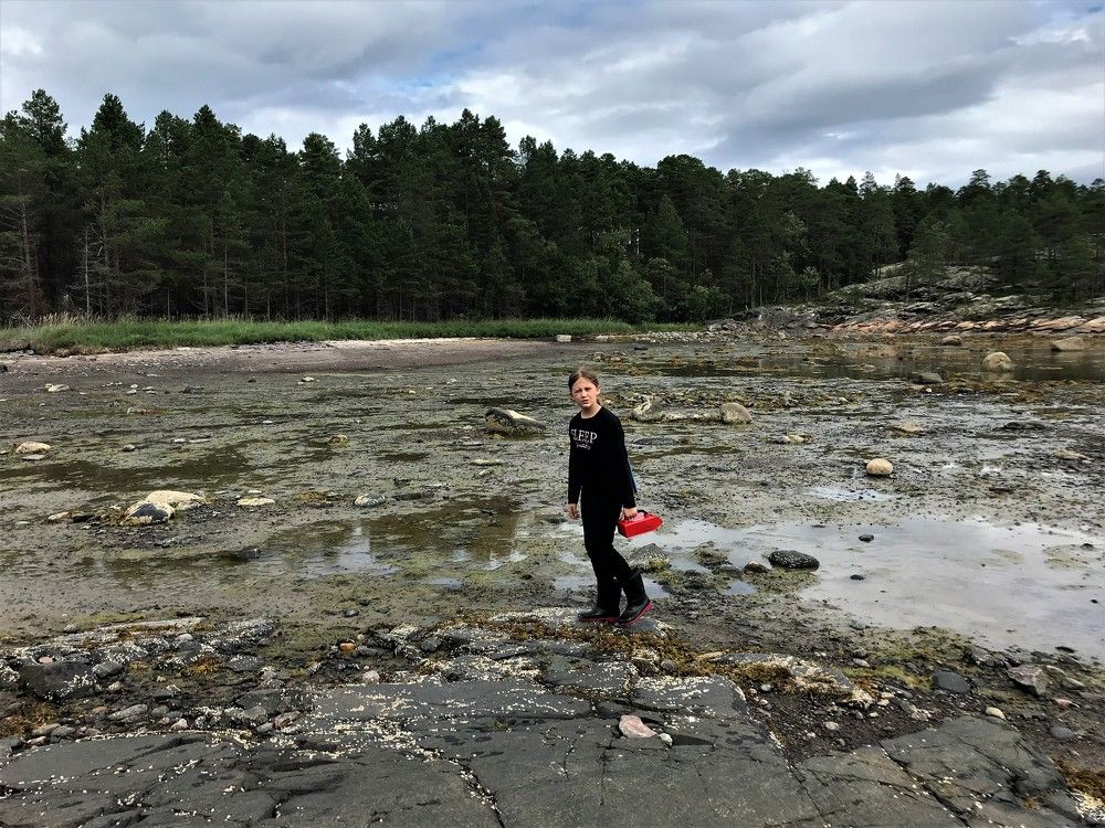 Where are the berries