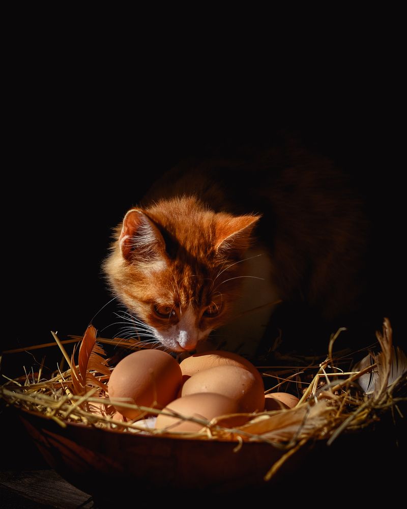 Photograph by Alexandra Sergeeva