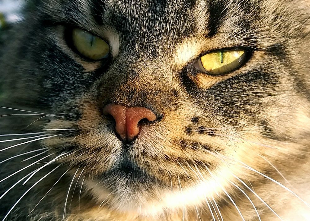 Photograph by Татьяна Литвинова