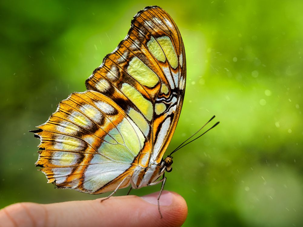 Photograph by Lorga Nuno