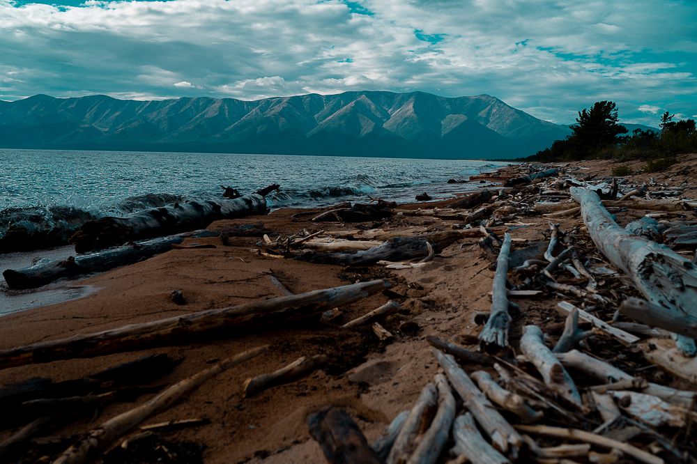 Photograph by Инна Завадская