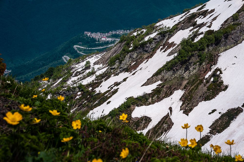 Photograph by Инна Завадская