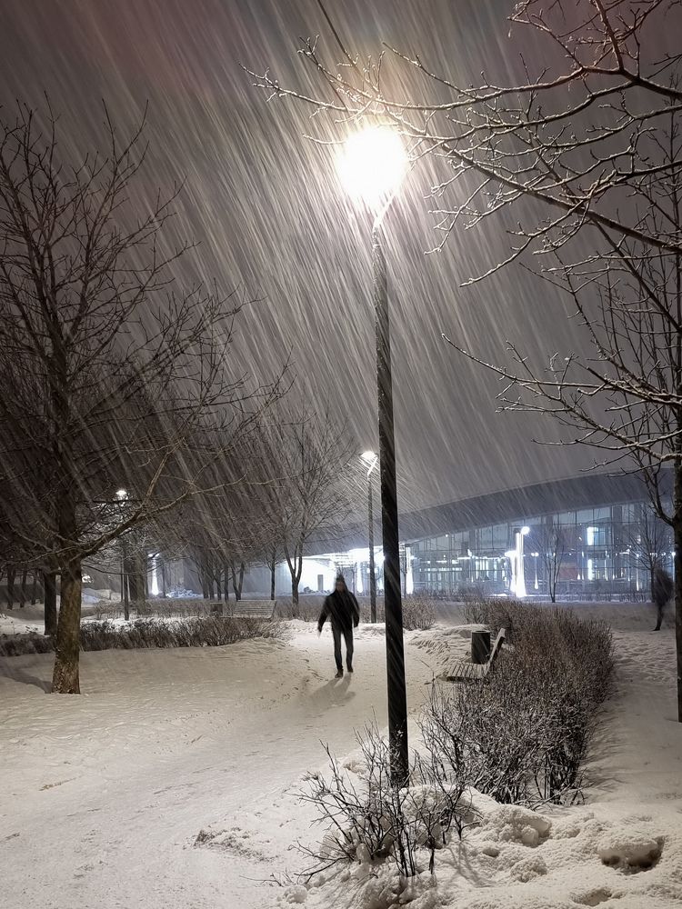 Фотография автора Светлана Алексеева