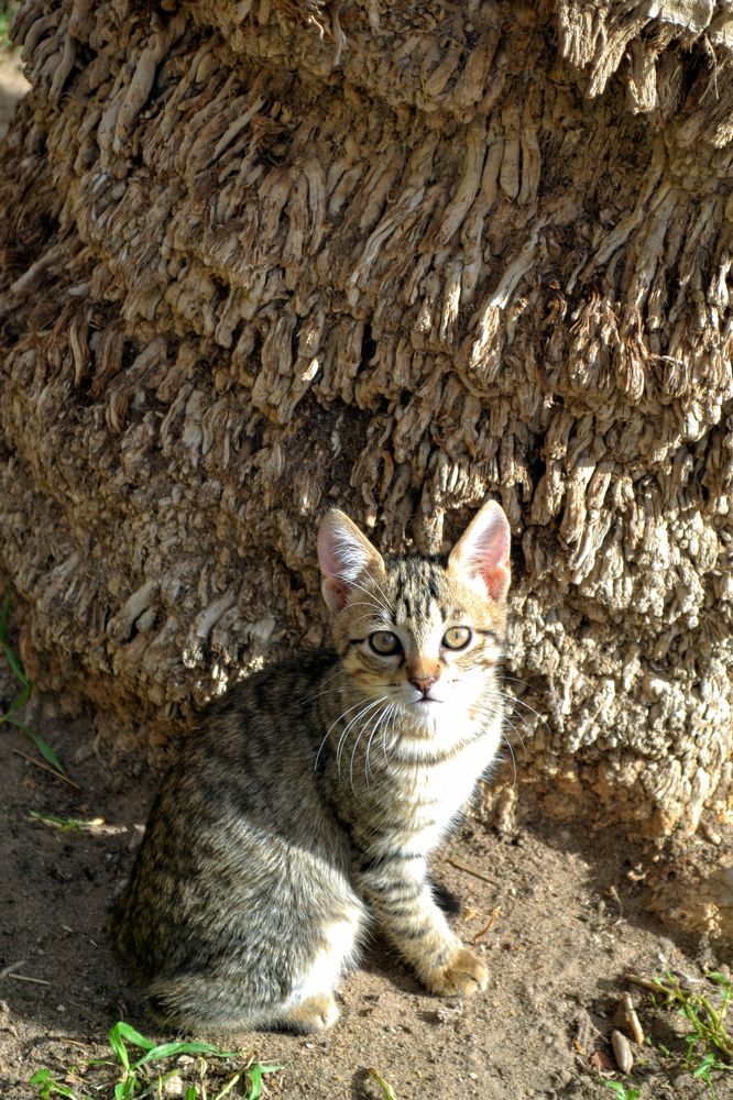 Photograph by Sakhria Mbarki