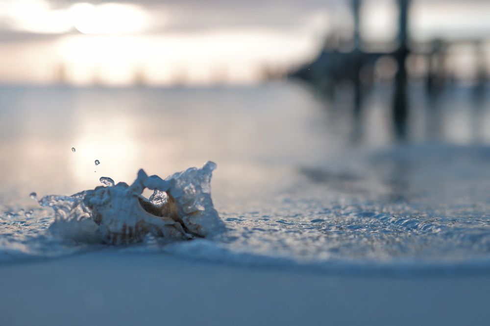 Фотография автора Юрий Кольцов