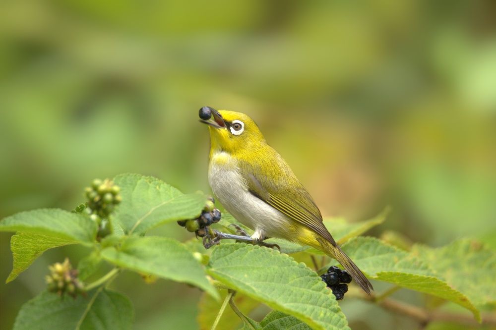 Photograph by sunil agadi