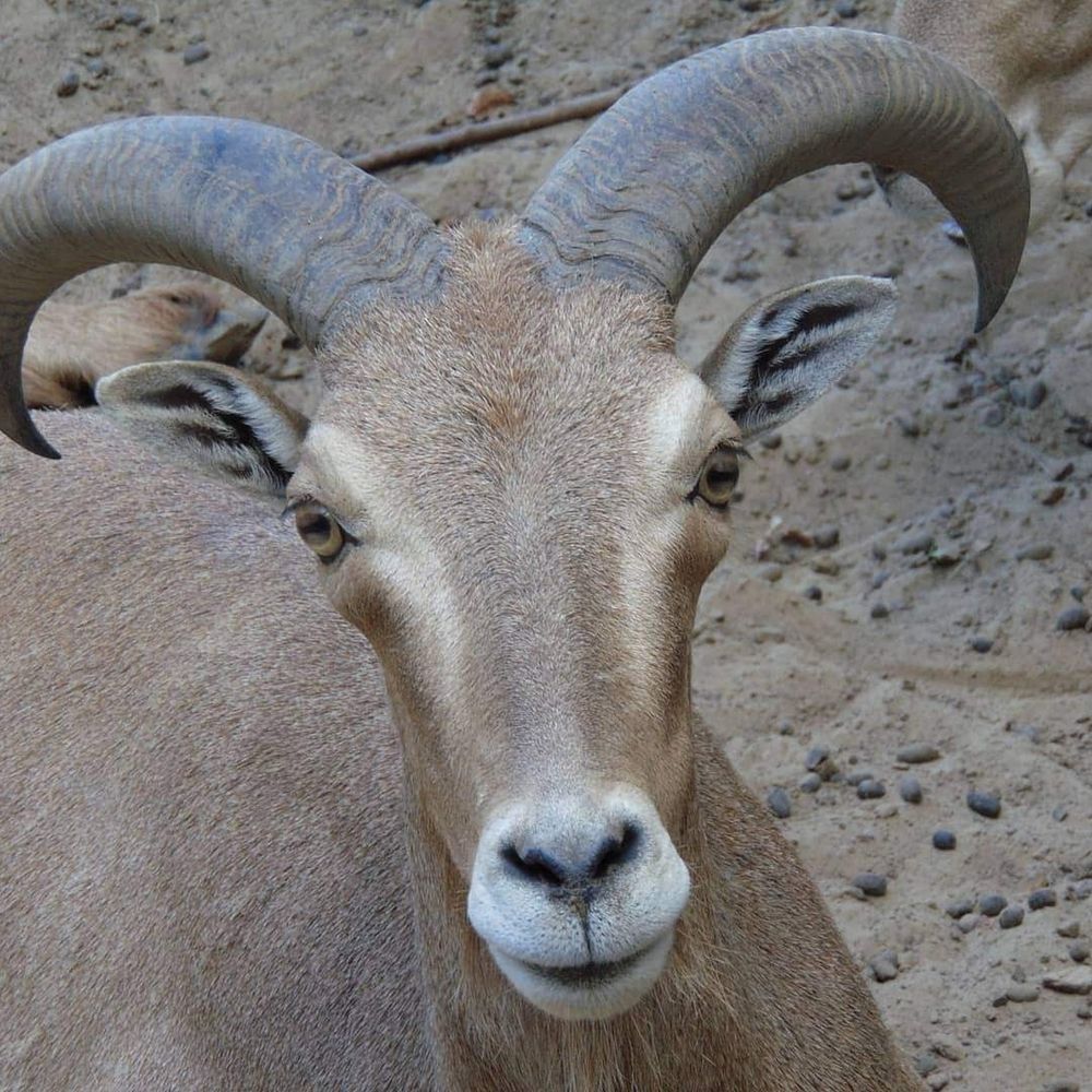 Photograph by Anna Veľasová