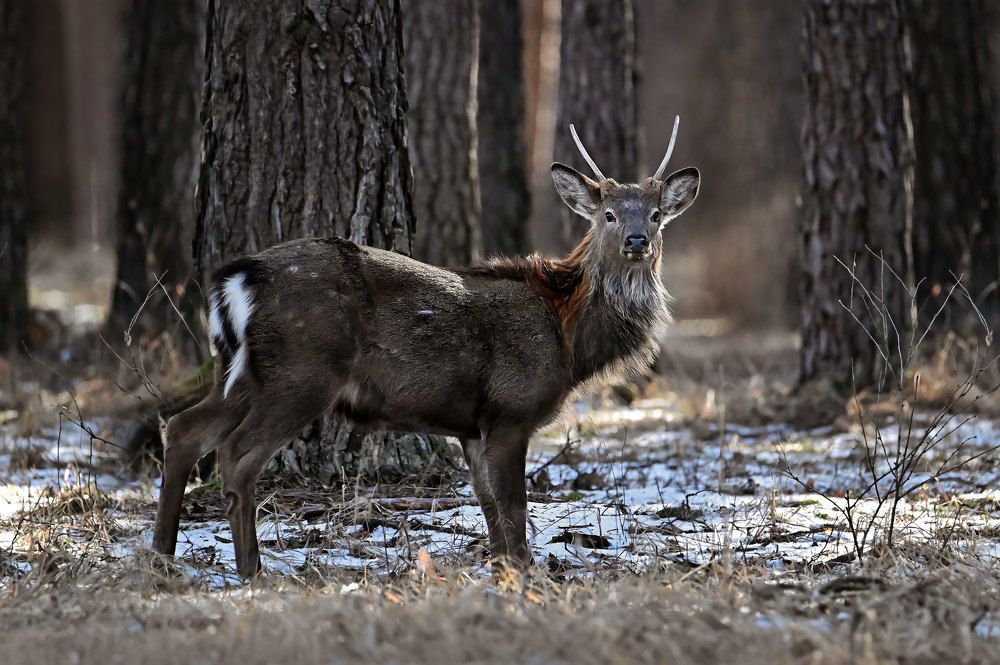 Photograph by Чернобай Анна