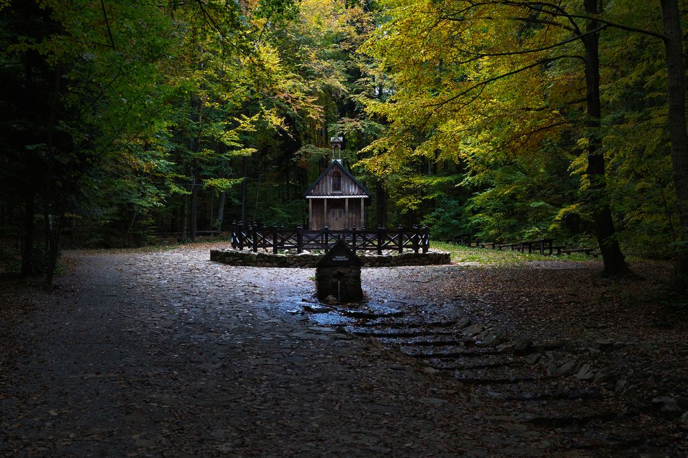 Photograph by Piotr Pepliński