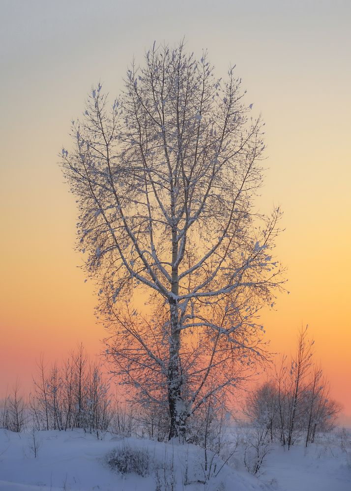 Photograph by Екатерина Дубровская