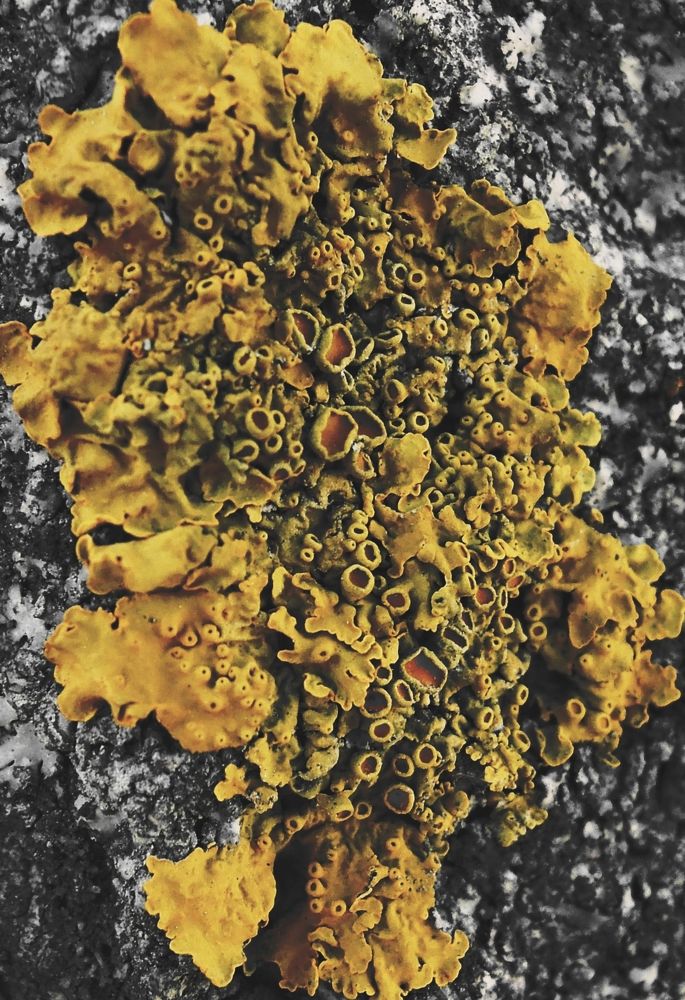 Photograph by Ольга Александрова