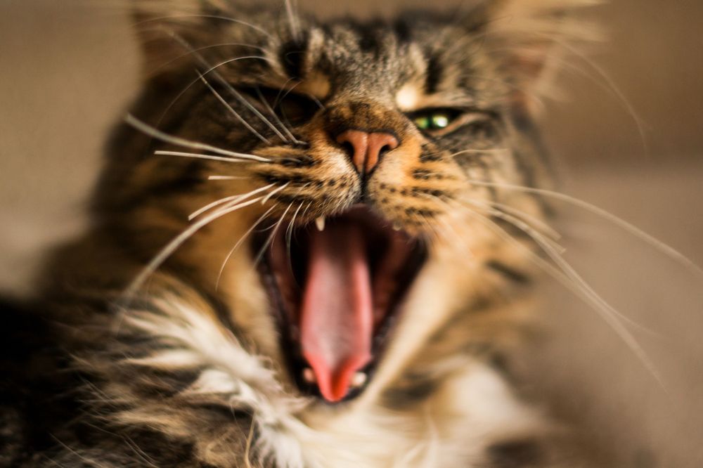 Photograph by Татьяна Литвинова