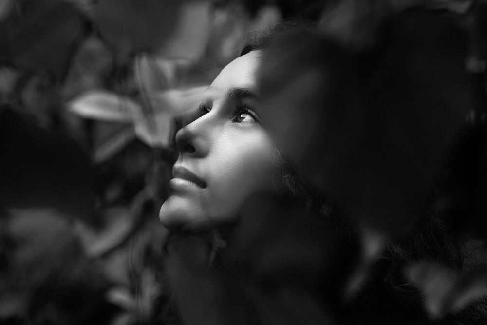 Photograph by Abel Cancino Gutierrez