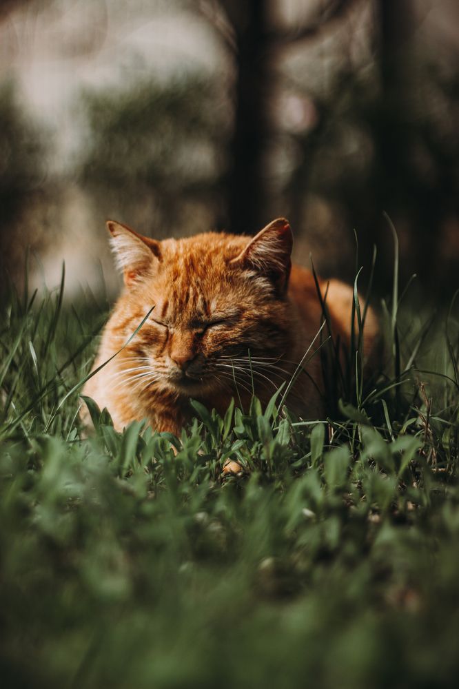 Photograph by Ольга Широкова