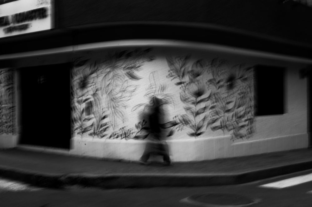 Photograph by Jean Pierre Alexander Bustinza Valdivia