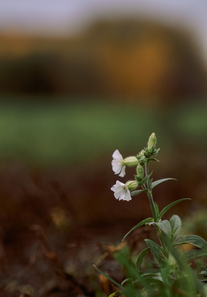 Photograph by Зульхиза Миндиахметова