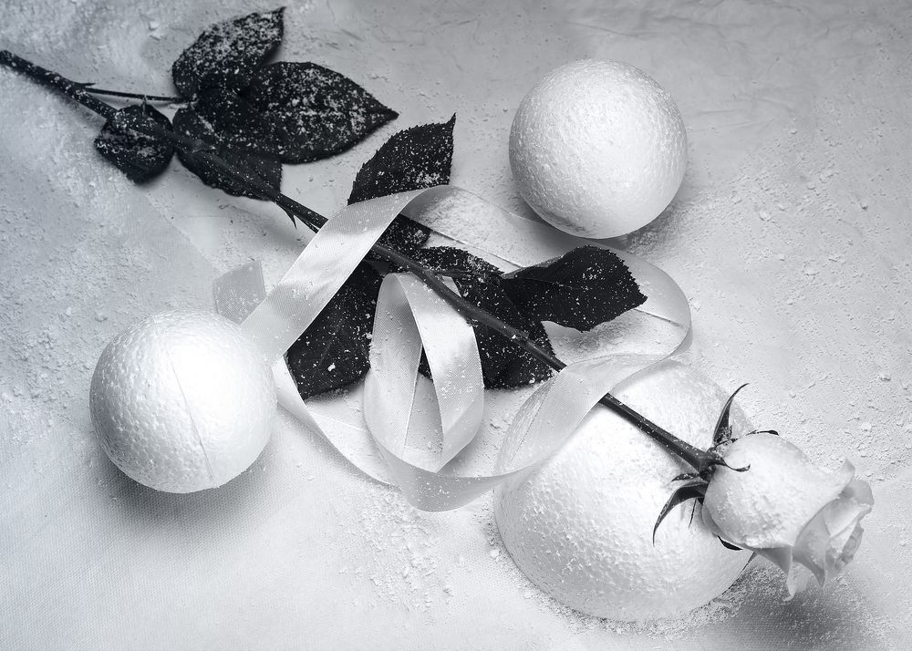 Photograph by Леонид Соснин