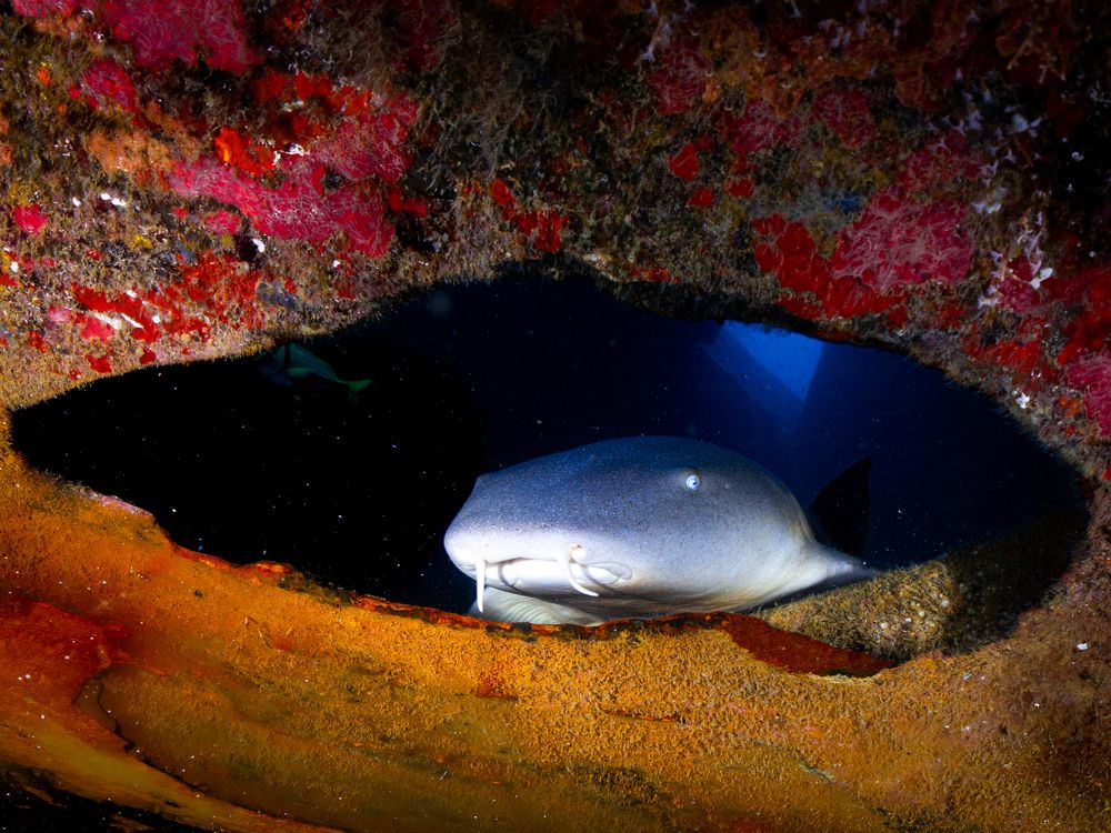 Photograph by Cecilia Muniz