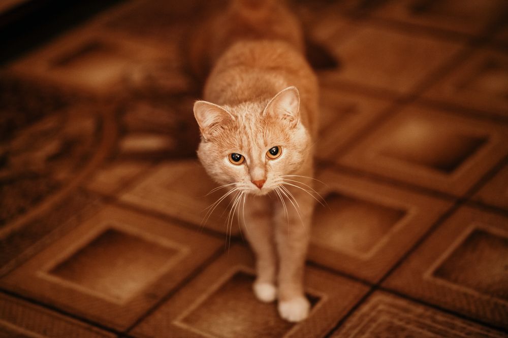 Photograph by Алексей Дукин