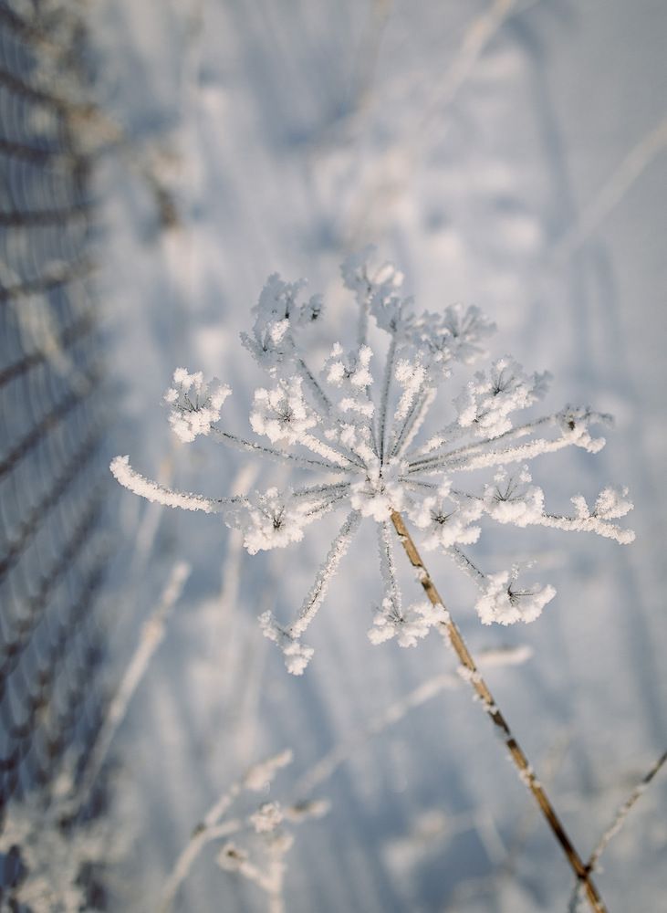 Photograph by Зульхиза Миндиахметова