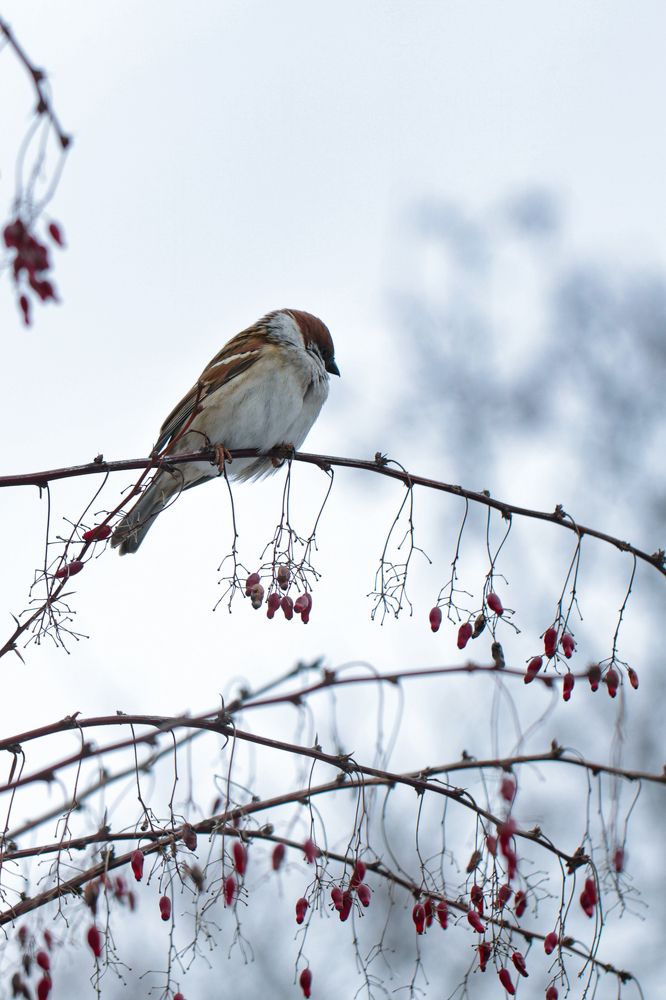 Photograph by Надежда Зайцева