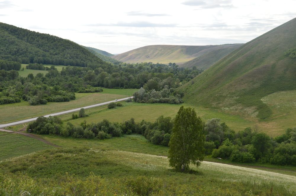 Холмы Башкирии.