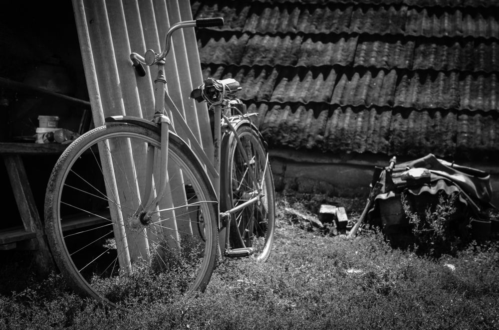 Photograph by Константин Числов