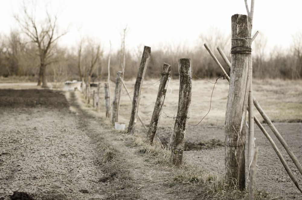 Photograph by Константин Числов