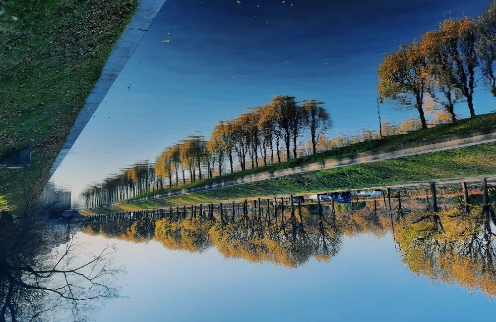 Photograph by Дарья Чертыковцева