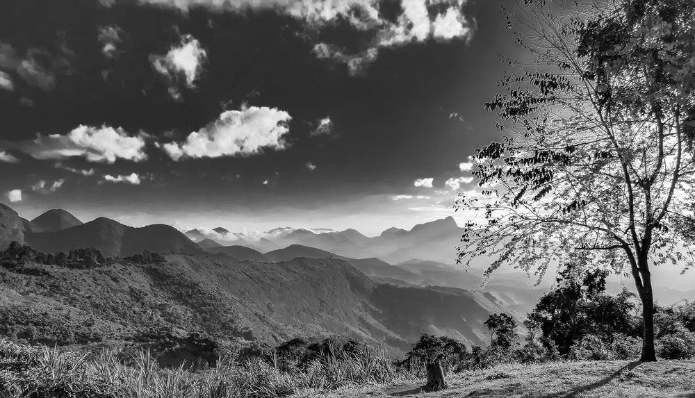 Photograph by Carlos Eduardo Iencarelli,