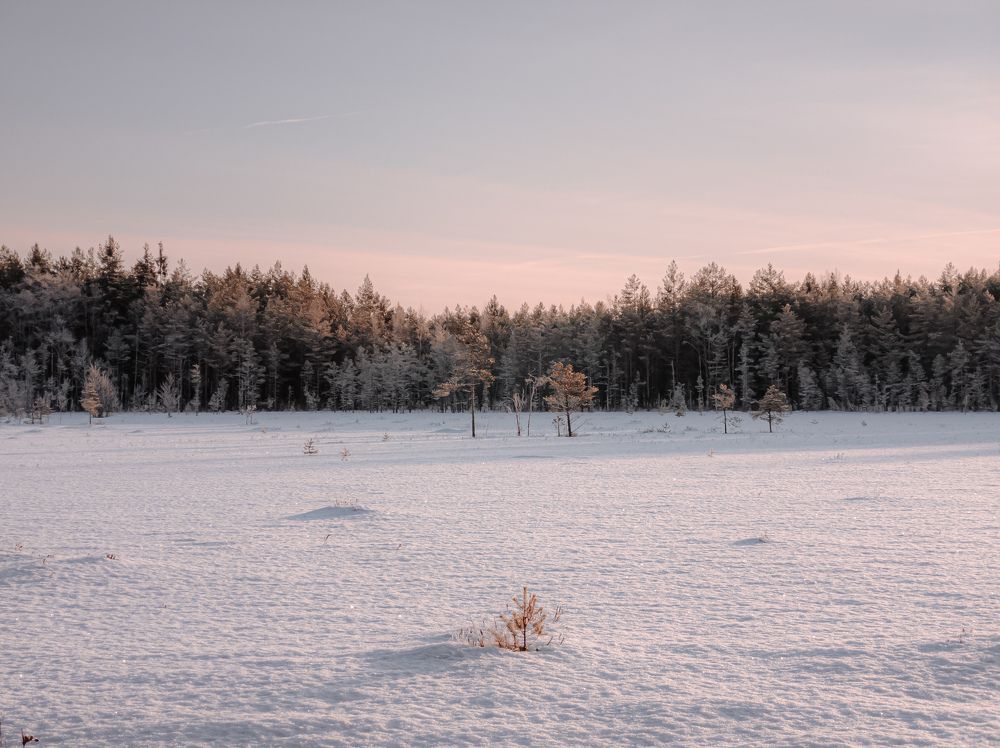 Photograph by Александр Безуглый