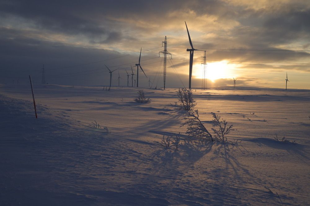 Photograph by Ольга Одаренко