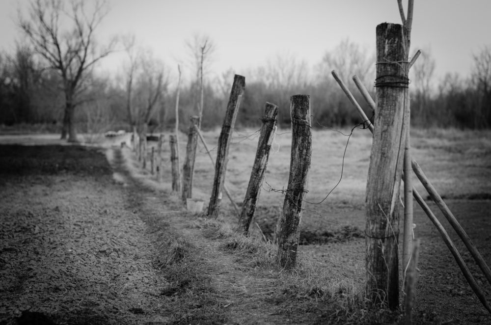 Photograph by Константин Числов