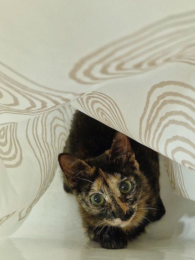 Photograph by Manuel Palma