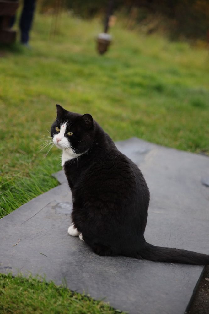 Photograph by Ольга Одаренко