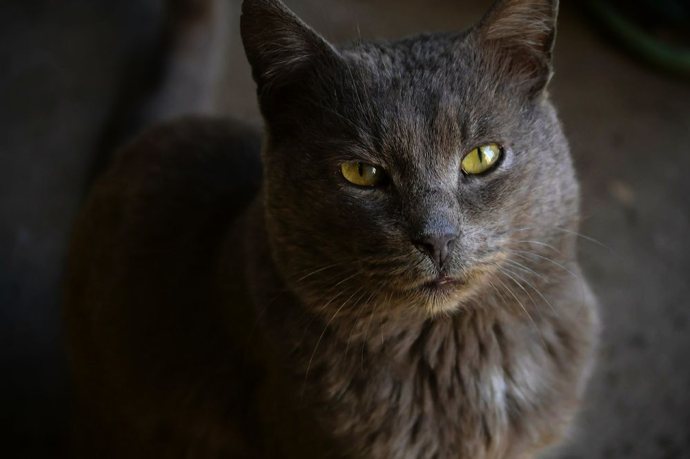 Photograph by Ирина Бабенкова