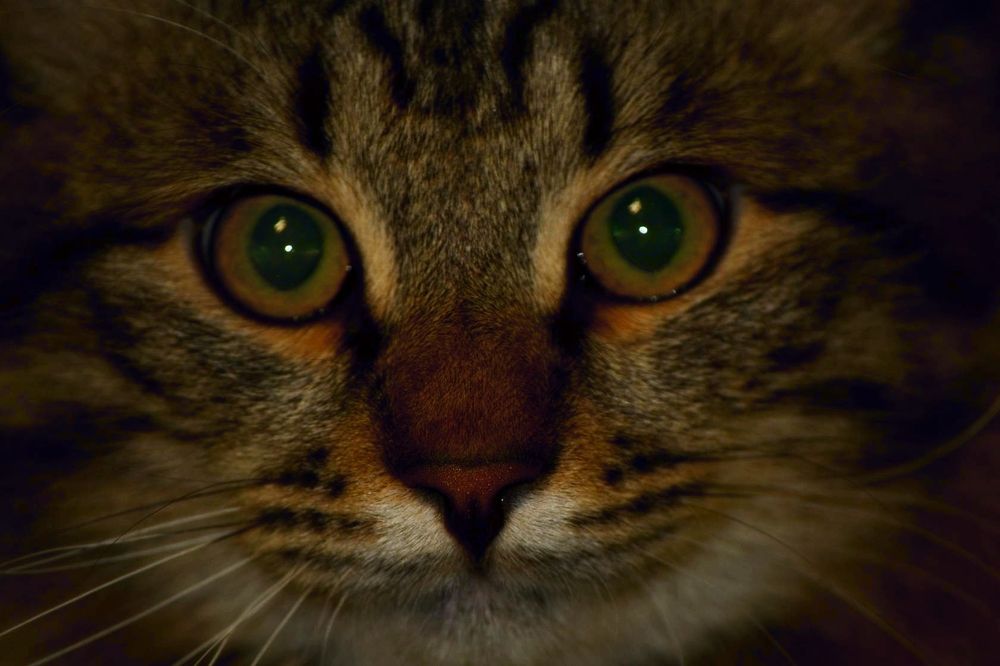 Photograph by Ирина Бабенкова