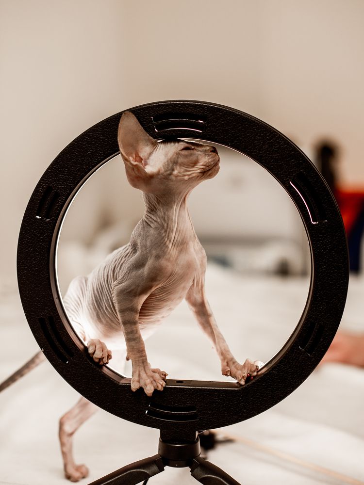 Photograph by Наталья Засенко