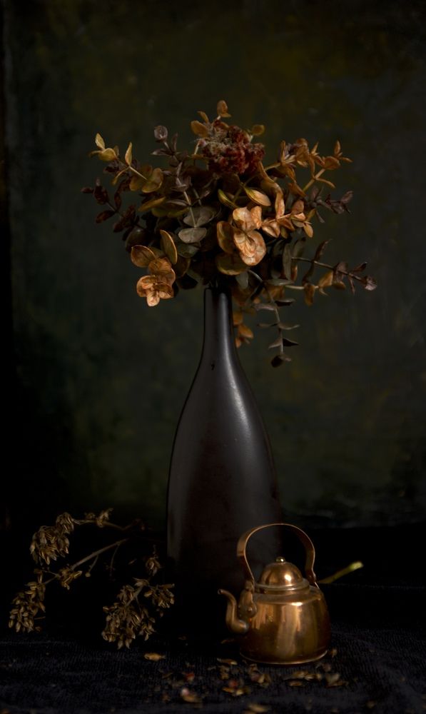 Сухоцветы на тёмном