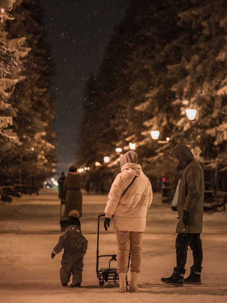 В Снежной аллее