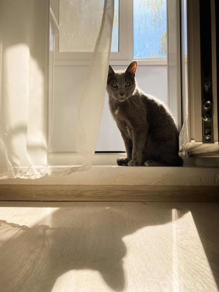 Солнечные ванны