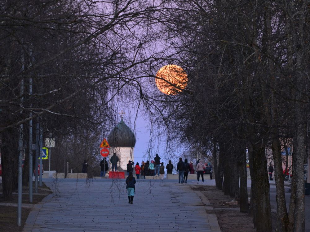 Photograph by Александр Калегин