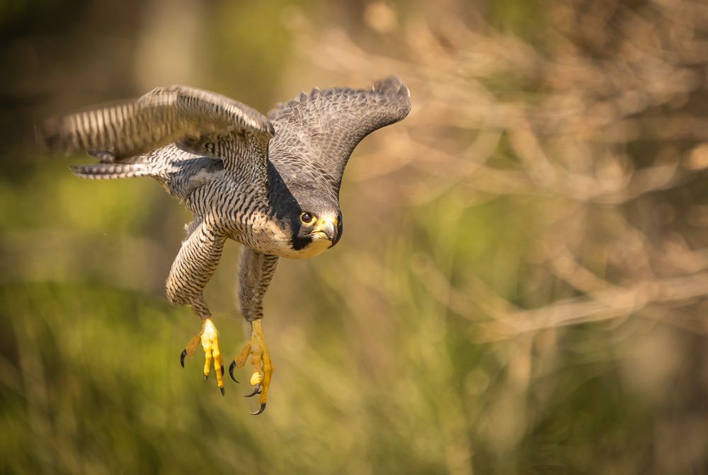Photograph by Максимова Дария