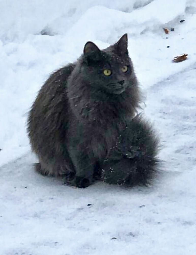 Photograph by Григорий Лыжин